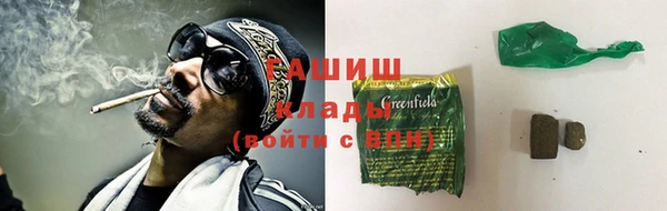 соль ск Новозыбков
