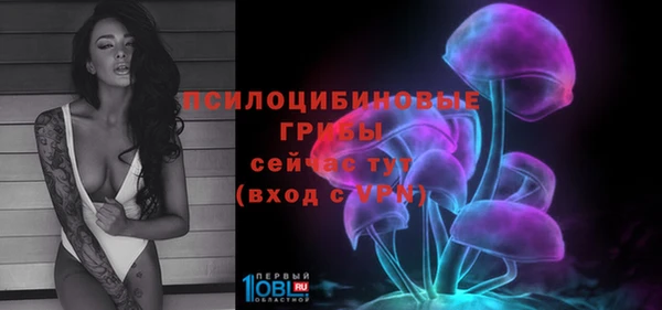 соль ск Новозыбков