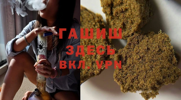 прущие грибы Новодвинск