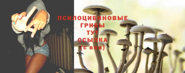 соль ск Новозыбков