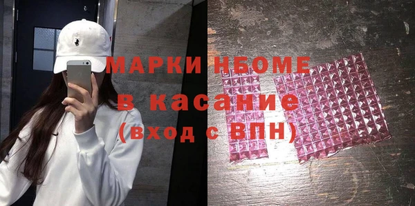 прущие грибы Новодвинск