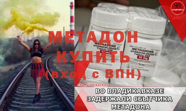 прущие грибы Новодвинск