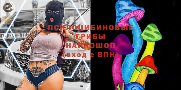 прущие грибы Новодвинск
