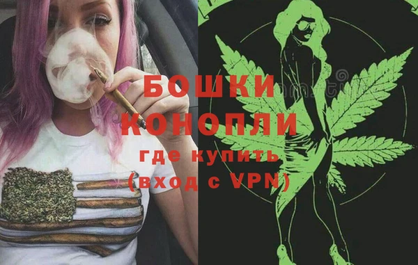 амф Няндома