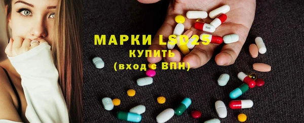 прущие грибы Новодвинск
