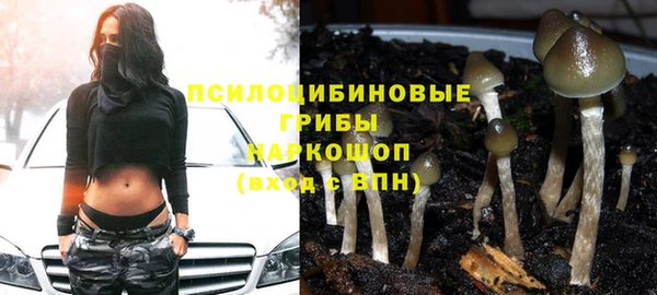 соль ск Новозыбков