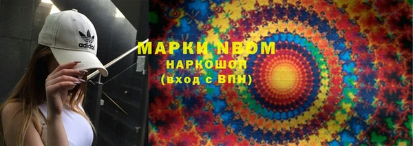 прущие грибы Новодвинск