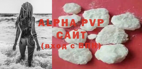 соль ск Новозыбков