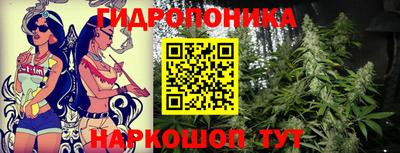 мяу мяу мука Берёзовский