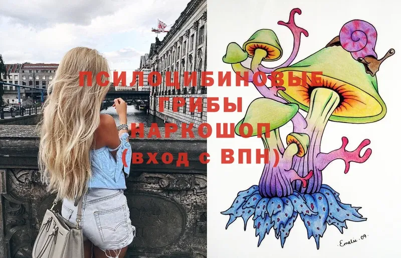 OMG ONION  Красноуфимск  Псилоцибиновые грибы Magic Shrooms 