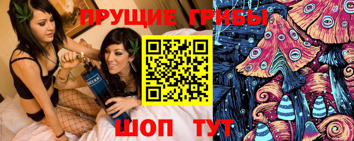 Псилоцибиновые грибы Cubensis Красноуфимск